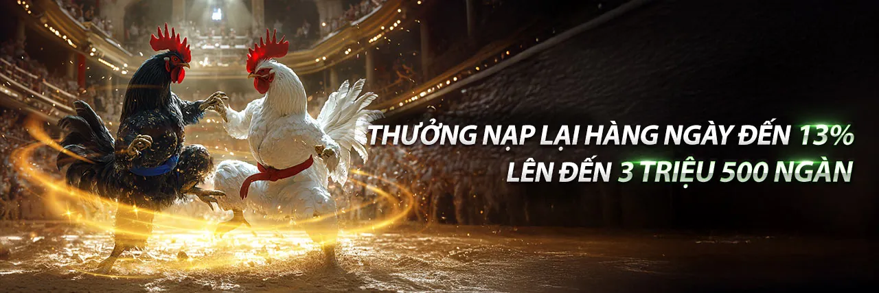 Hình ảnh chính của Blog 66vnd với giao diện cá cược trực tuyến hiện đại